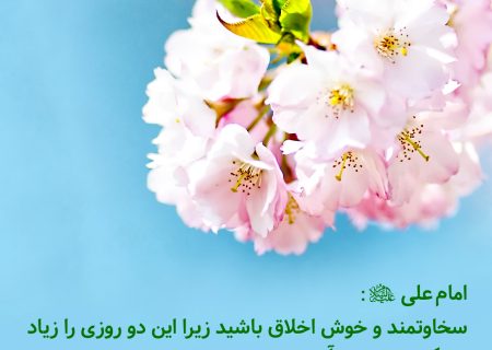 جملاتی شیوا در اهمیت اخلاق