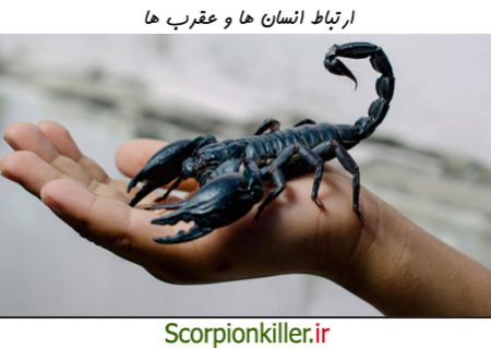 الرجل والعقرب