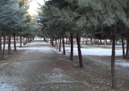 فايز بحران