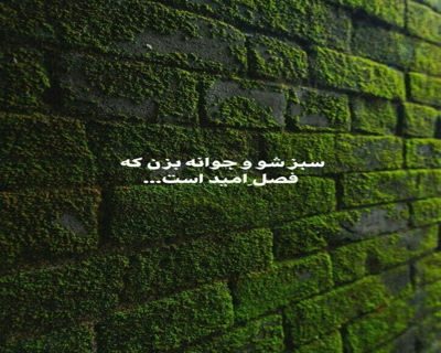 لا تكن مثلهم