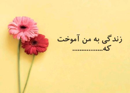 علمتني الحياة ذلك