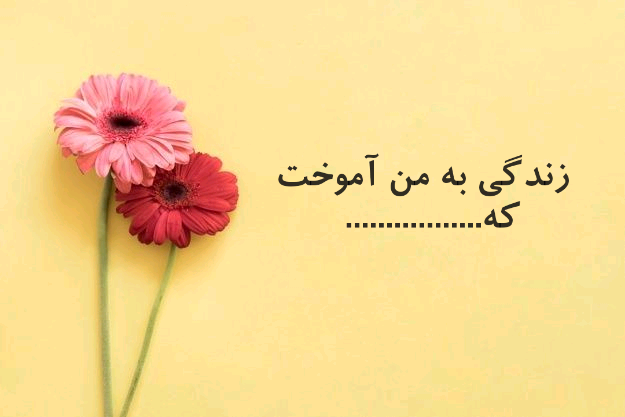 علمتني الحياة ذلك